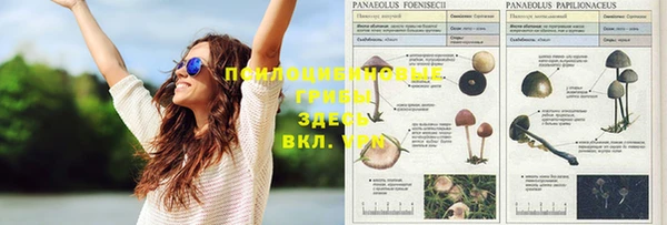 бошки Алексин