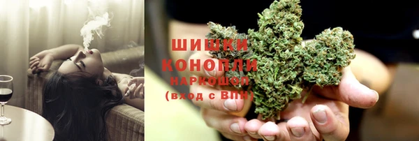 бошки Алексин