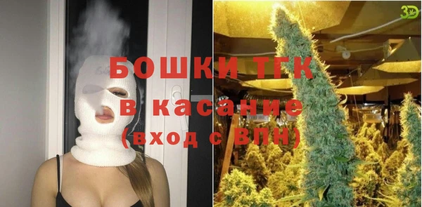 бошки Алексин
