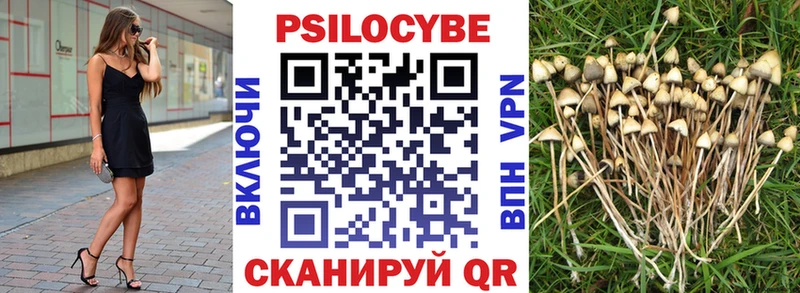 Псилоцибиновые грибы MAGIC MUSHROOMS  мориарти как зайти  Кимры  гидра сайт 