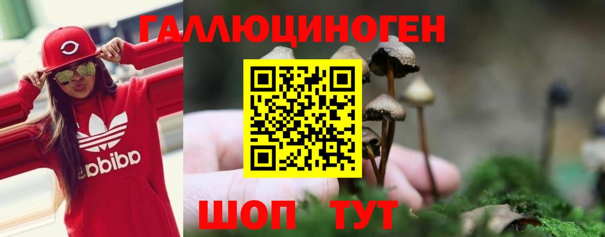 Псилоцибиновые грибы прущие грибы Кимры
