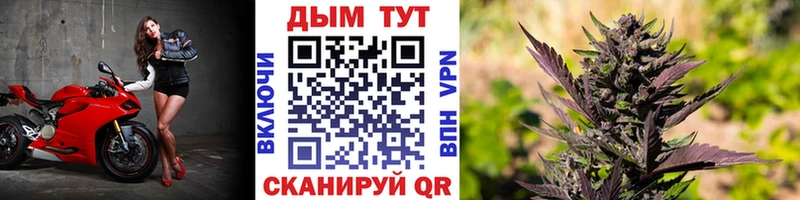 Шишки марихуана гибрид Кимры
